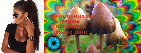 Альфа ПВП Алексеевка