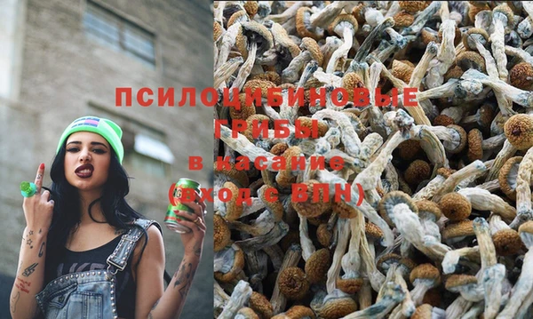 Альфа ПВП Алексеевка
