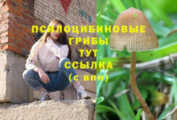 мет Алзамай